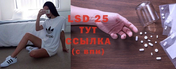 PSILOCYBIN Нязепетровск
