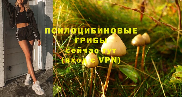ешки Няндома