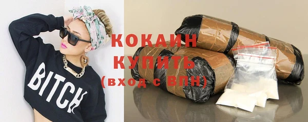 ешки Няндома