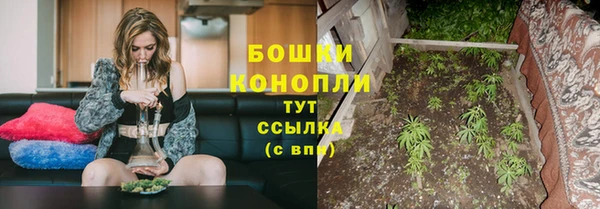 PSILOCYBIN Нязепетровск