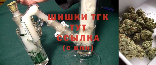 ешки Няндома