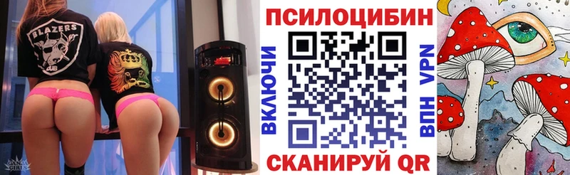 mega   Тырныауз  Псилоцибиновые грибы MAGIC MUSHROOMS  закладки 